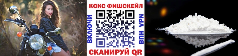 Купить где  Гвардейск  Cocaine FishScale 