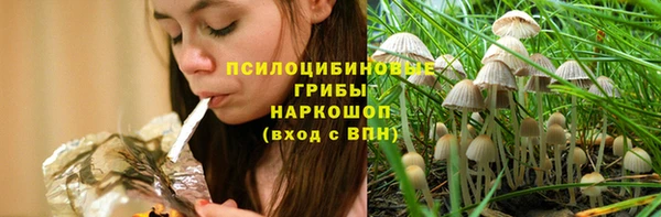 гидропоника Козловка