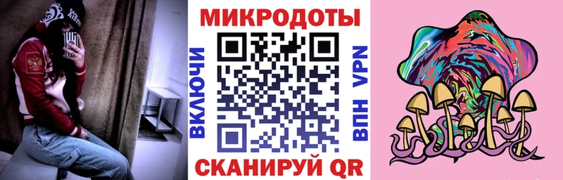 Псилоцибиновые грибы Cubensis  Купить  Гвардейск 